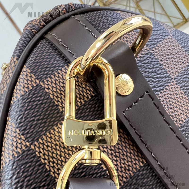 Louis Vuitton Speedy Bandoulière 25 Handbag with Damier Ebene Canvas and Leather Handle
