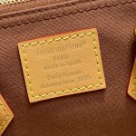 Louis Vuitton Speedy 25 Brown Pillow Bag M15218 Pharrell x Nigo