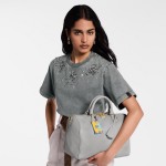 Louis Vuitton Speedy Soft 30 Grey Minigram Bold Handbag M25670 Front View