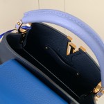 Louis Vuitton Capucines BB Black and Blue Handbag Custom M20844 M20845