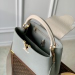Louis Vuitton Capucines MM Handbag M21296 Medium in Grey Leather