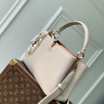 Louis Vuitton Capucines Souple M12929 Gray Medium Grained Calfskin Handbag