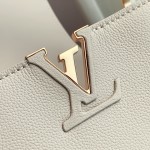 Louis Vuitton Capucines Souple M12929 Gray Medium Grained Calfskin Handbag