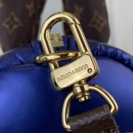 Louis Vuitton Speedy Bandoulière 25 Silver Econyl embroidered tote bag