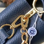 Louis Vuitton Capucines Mini M14971 Harmony Series Taurillon Leather Bag