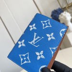 Louis Vuitton M26059 coated canvas passport cover multi color