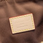 Louis Vuitton Multipass Monogram Canvas Chain Bag