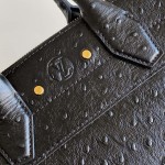 Louis Vuitton Special Edition Dynamic Chip Bag M85454 & M84079
