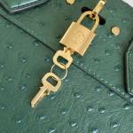 Louis Vuitton Special Edition Dynamic Chip Bag M85454 & M84079