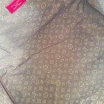 Louis Vuitton Express Small Handbag with Monogram Edging and Key Pouch