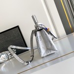 Louis Vuitton aurora silver dynamic chip leather bag M84713 M84714