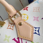 Louis Vuitton Speedy Soft 30 Bag with Rainbow Monogram