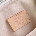 Louis Vuitton Speedy Soft 30 Bag with Rainbow Monogram